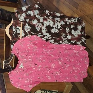 2 size 2x tops